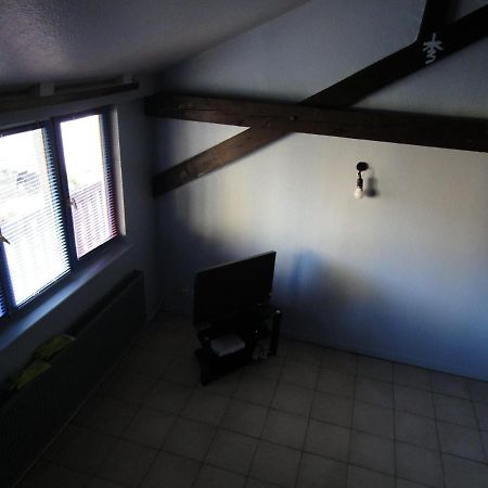 Strasbourg Centre Studio+Mezzanine Au Calme Apartamento Exterior foto